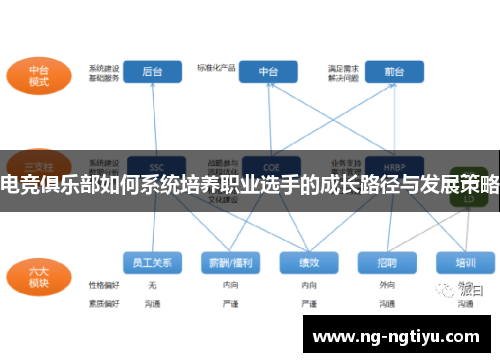 电竞俱乐部如何系统培养职业选手的成长路径与发展策略