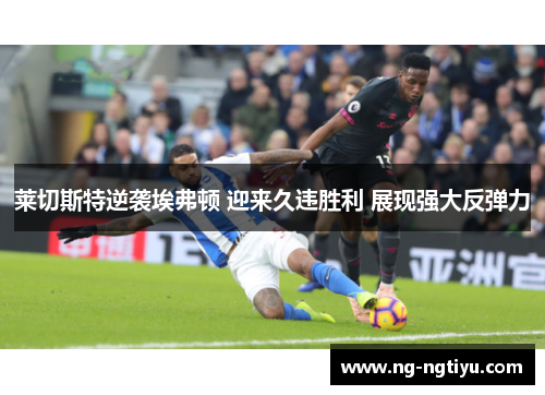 莱切斯特逆袭埃弗顿 迎来久违胜利 展现强大反弹力