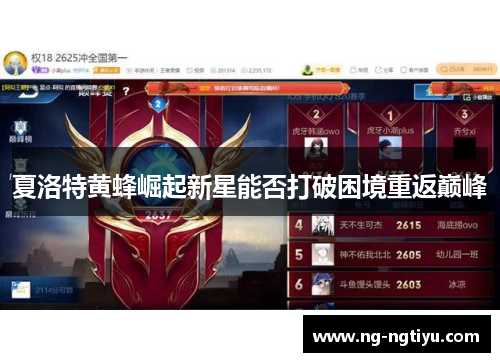 夏洛特黄蜂崛起新星能否打破困境重返巅峰